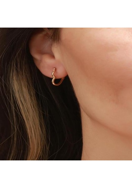 14 Ayar Altın Orta Boy Kalpli Tekli Küpe indirimleri