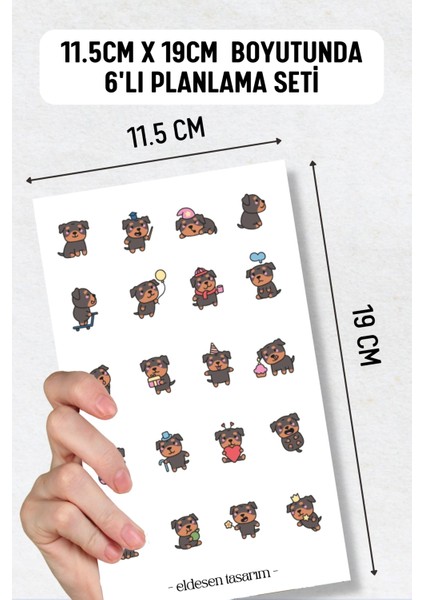 6'lı Sticker Seti / Bullet Journal / Scrapbook / Ajanda Etiket Seti / Sticker Book