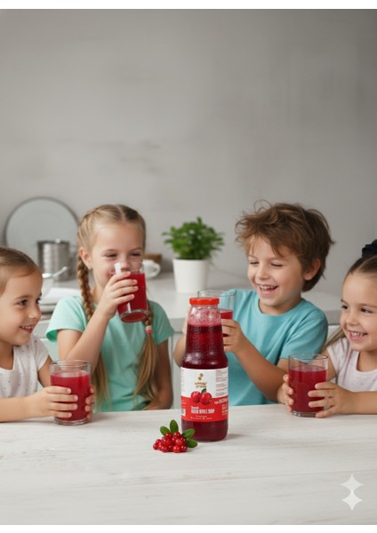 Taneli Kızılcık Şurubu - 1350 gr fiyatları