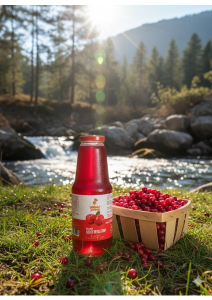 Taneli Kızılcık Şurubu - 1350 gr indirimleri