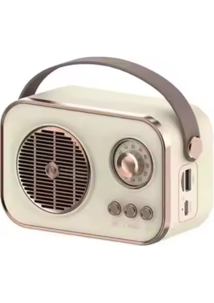 PL-4641 Bluetooth, Sd, USB Girişli Bluetooth Destekli Type-C Speaker