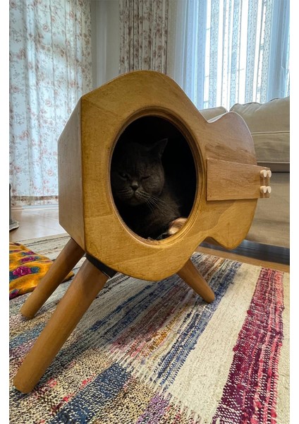 Gitar Kedi Evi Dekoratif Iç Mekan Guitar Cat House