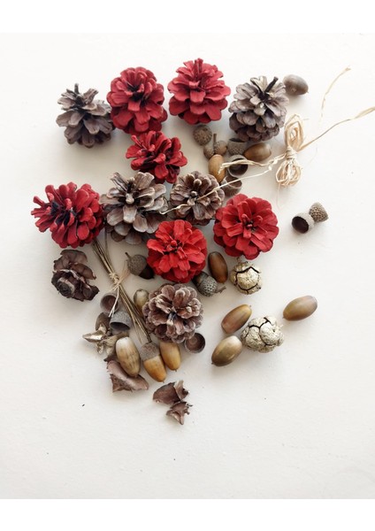 Dekor Amaçlı Doğal Çam Kozalakları