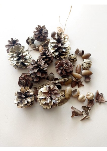 Dekor Malzemesi /çam Kozalak / Meşe Palamut