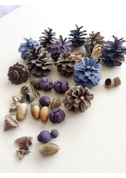 Dekoratif Çam Kozalakları ve Meşe Palamutları