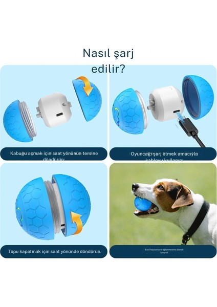 Otomatik Şarjlı Köpek Kedi Oyuncağı Hareketli Rgb Işıklı Zıplayan Akıllı Top Kedi Oyuncağı indirimleri