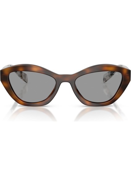 Pr A02S 20D50Q 52 Kelebek Havana Kadın Güneş Gözlüğü fiyatları