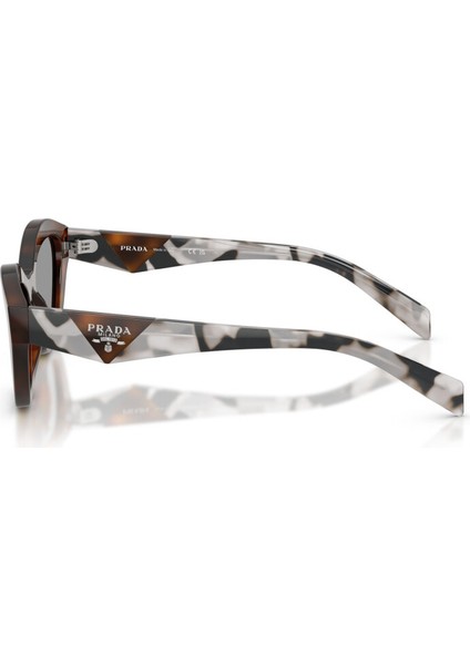 Pr A02S 20D50Q 52 Kelebek Havana Kadın Güneş Gözlüğü modelleri