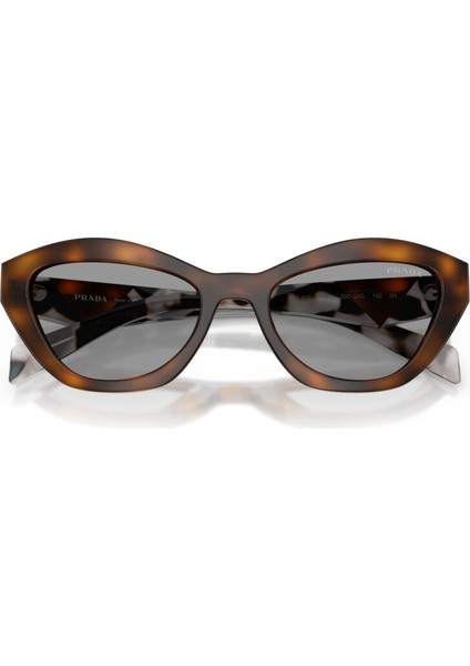 Pr A02S 20D50Q 52 Kelebek Havana Kadın Güneş Gözlüğü fırsatları