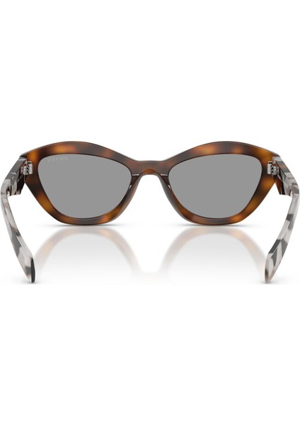 Pr A02S 20D50Q 52 Kelebek Havana Kadın Güneş Gözlüğü indirimleri