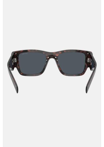 Erkek Pr 10ZS 17N70B 54 Kahverengi Güneş Gözlüğü fırsatları