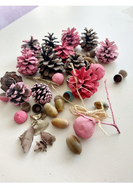 Doğal Kozalak ve Meşe Palamutu Seti