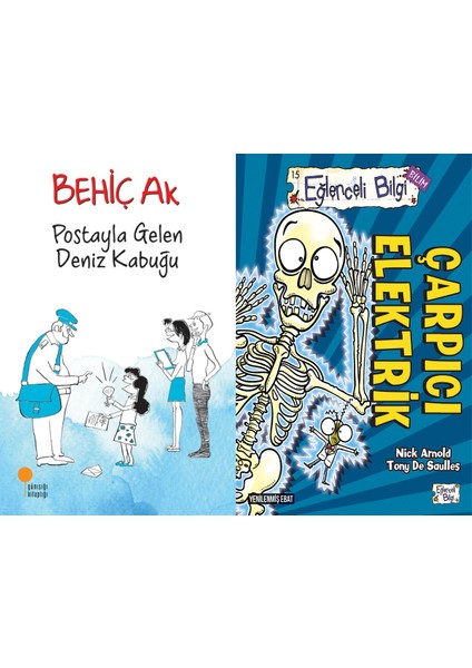 Postayla Gelen Deniz Kabuğu (Behiç Ak) ve Çarpıcı Elektrik