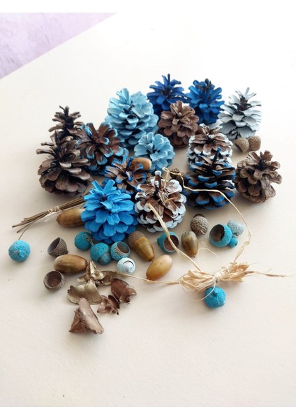 Dekoratif Amaçlı Çam Kozalak/meşe Palamutu