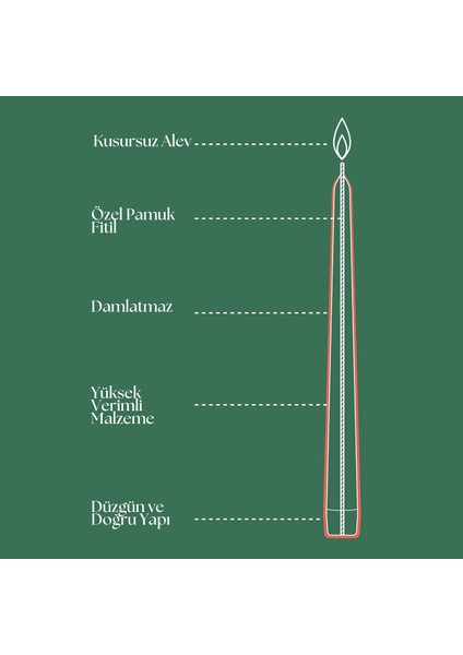 Puslu Pembe Konik Mumlar 4 Paket - 24,5 cm - 7 Saat Yanan Damlamayan Mumlar - Akşam Yemeği, Parti, Düğün Dekoru Için