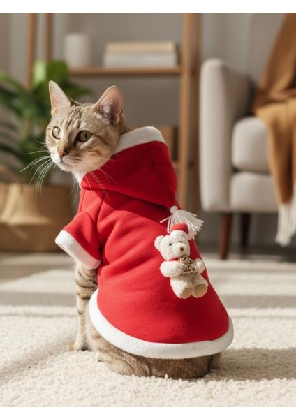 Bear Snow Kırmızı Xmas Kedi Kıyafeti | Kapüşonlu Polar Noel Sweatshirt | Küçük Irklar Için