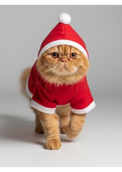 Bear Snow Kırmızı Xmas Kedi Kıyafeti | Kapüşonlu Polar Noel Sweatshirt | Küçük Irklar Için fiyatları