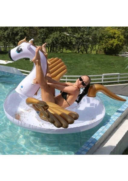 Pegasus Şişme Deniz Yatağı 226X200X120CM modelleri