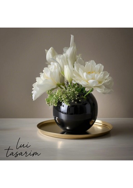 Siyah Fanus Parlak modelleri