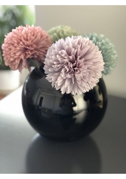 Siyah Fanus Parlak fırsatları