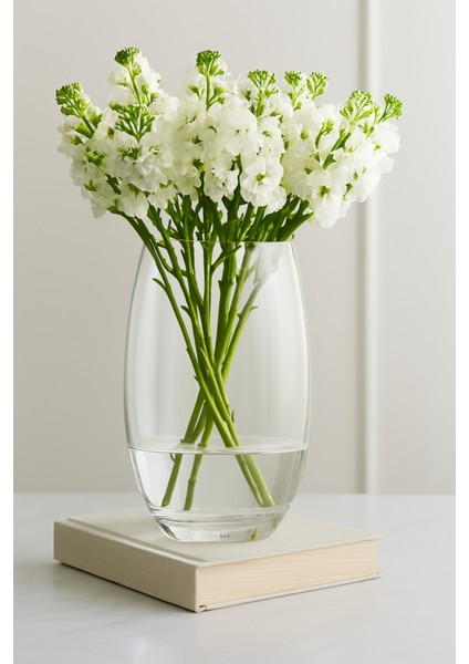 Paşabahçe Şeffaf Xl Boy Kalın Kesim Büyük Cam Vazo Dekoratif Ev Dekorasyon fiyatları