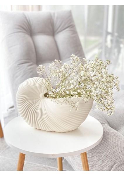 Krem Rengi Snail Salyangoz Vazo Xl Boy 25*17 cm Seramik Modern Şık Vazo Dekorasyon Salon Ev Otel