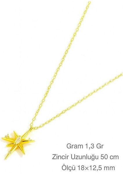 Stella Kuzey Yıldızı Kadın Gümüş Kolye modelleri