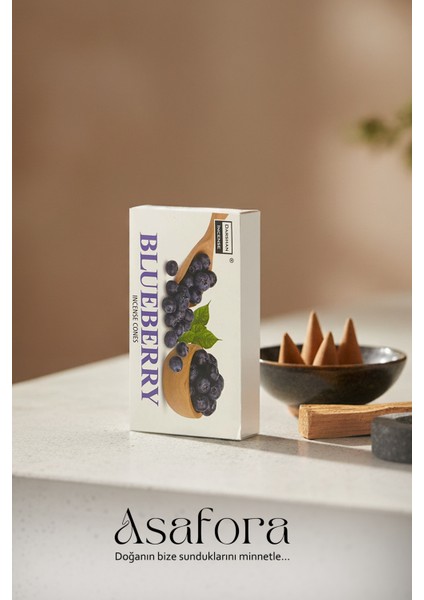 Darshan Blueberry Kokulu 10 Adet Tütsü & Oda Kokusu