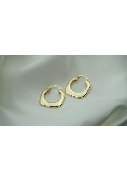 Çelik Puo Gold Küpe fiyatları