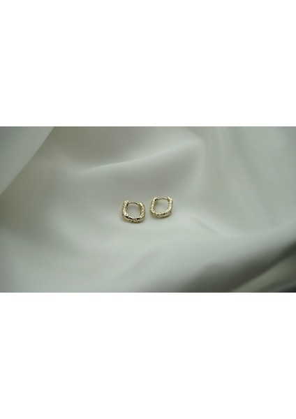 Çelik Pit Gold Küpe fiyatları