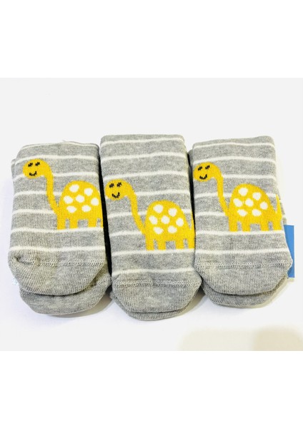 Kaplumbağa Figürlü Dikişsiz, Kaydırmaz, Havlu Çocuk Çorabı 3'lü Kız/erkek