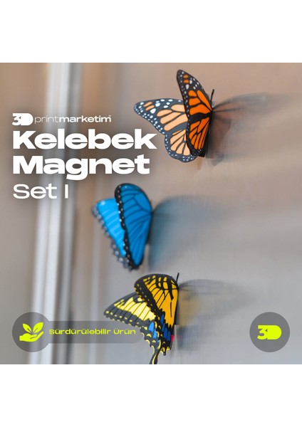 Kelebek Buzdolabı Süsü Magnet 3'lü Set