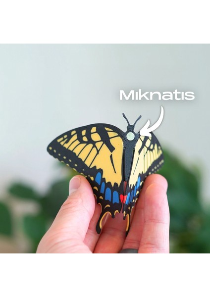 Kelebek Buzdolabı Süsü Magnet 3'lü Set fiyatları