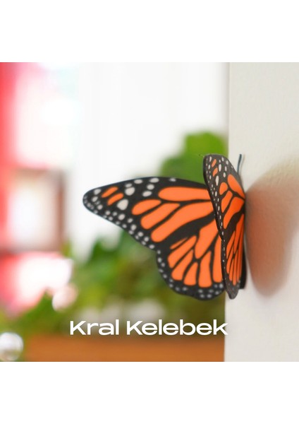 Kelebek Buzdolabı Süsü Magnet 3'lü Set modelleri