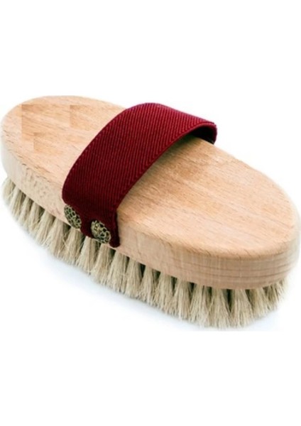 - At Kılı Elbise Fırçası fiyatları