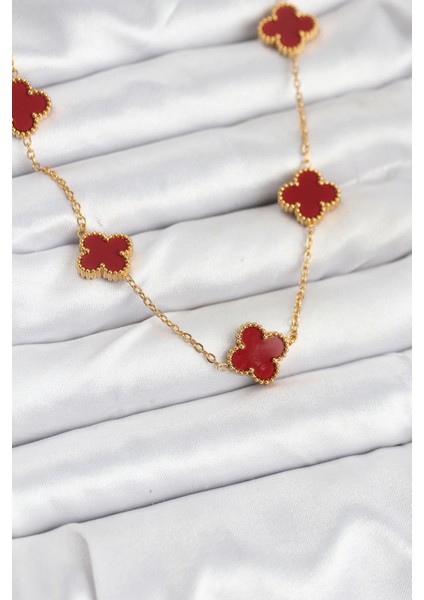Bfs 316L Çelik Gold Renk Zincir Bordo Yonca Kadın Kolye