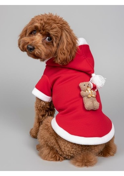 Biscotti Bear Kırmızı Xmas Köpek Kıyafeti | Kapüşonlu Polar Noel Sweatshirt | Küçük Irklar İçin