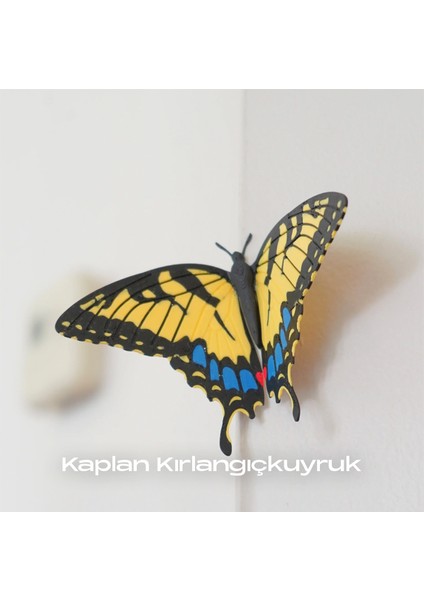 Kelebek Buzdolabı Süsü Magnet 3'lü Set fırsatları