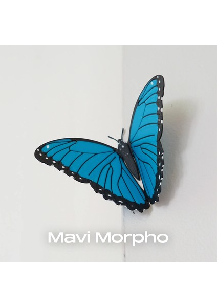 Kelebek Buzdolabı Süsü Magnet 3'lü Set indirimleri