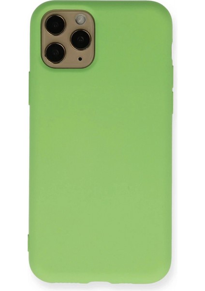 iPhone 11 Pro Kılıf Nano Içi Kadife Silikon - Yeşil