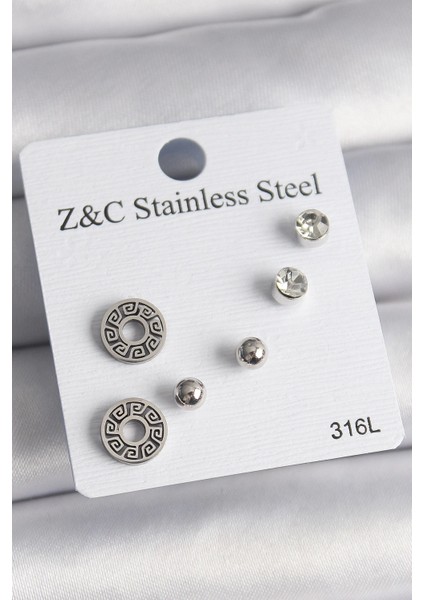 Bfs 316L Çelik Gümüş Renk Zirkon Taşlı Labirent Model Kadın Küpe Seti