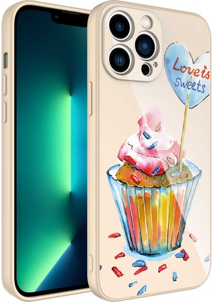 iPhone 13 Pro Max Kılıf Kamera Korumalı Desenli Sert Silikon Tcmk Epoksi Kapak-No8