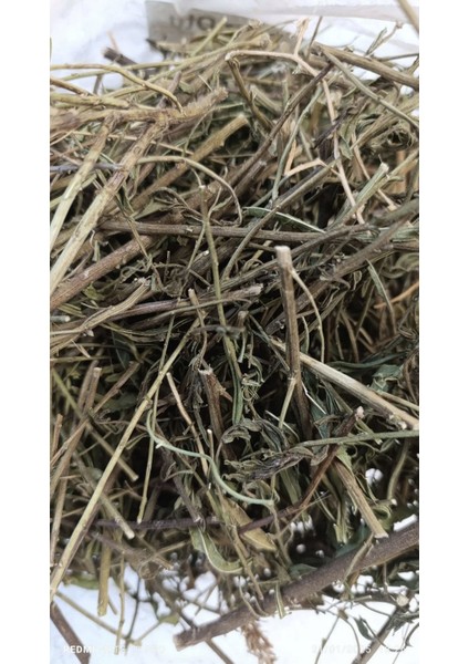 Yapışkan Andız Otu 100 gr