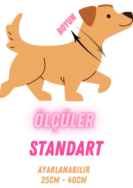 Kedi Köpek Için Bahar Dalı Mor Yonca Kolye / Takı fırsatları