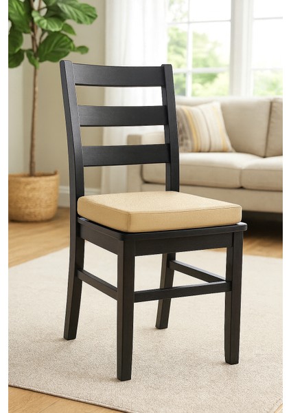 Fermuarlı 2'li Sandalye Minderi 40X40 cm Sünger Sandalye Minderi Bağcıklı Antrasit fiyatları