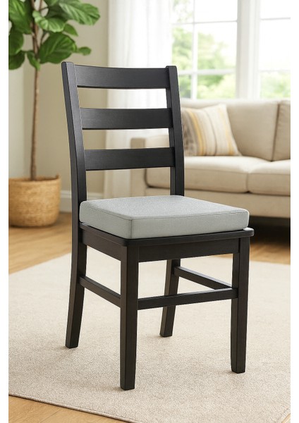 Fermuarlı 2'li Sandalye Minderi 40X40 cm Sünger Sandalye Minderi Bağcıklı Antrasit fiyatları