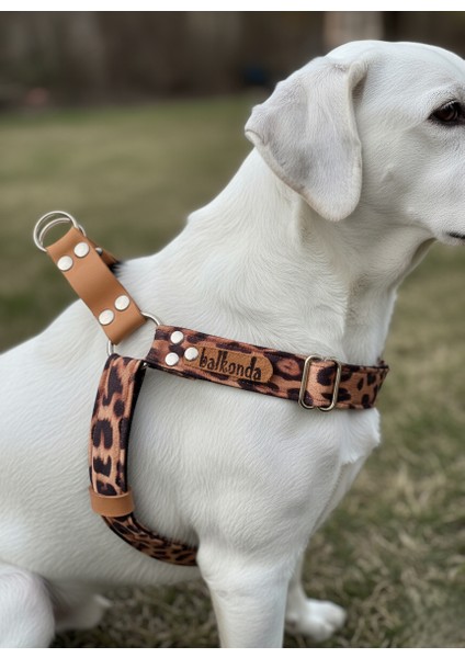Köpek Göğüs Tasması Küçük, Orta ve Büyük Irk Ayarlamalı Kolon Kordon & Deri Leopar Desen fırsatları