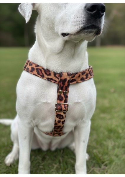 Köpek Göğüs Tasması Küçük, Orta ve Büyük Irk Ayarlamalı Kolon Kordon & Deri Leopar Desen indirimleri