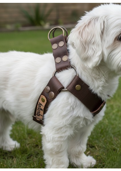 Köpek Göğüs Tasması Minik, Küçük, Orta ve Büyük Irk Ayarlamalı Kolon Kordon Koyu Kahverengi