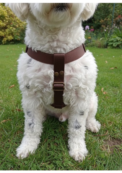 Köpek Göğüs Tasması Minik, Küçük, Orta ve Büyük Irk Ayarlamalı Kolon Kordon Koyu Kahverengi fiyatları